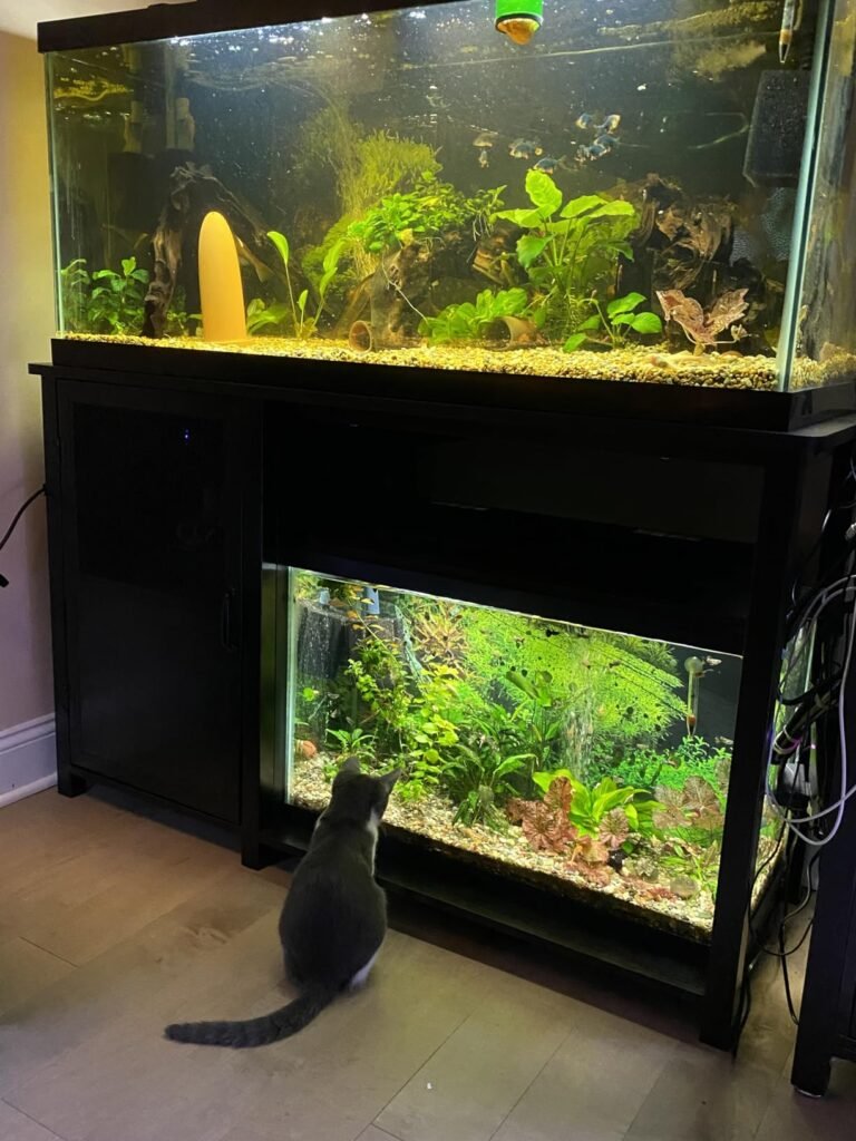 55-75 Gallon Fish Tank Stand