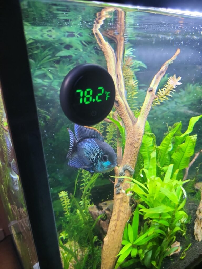 PAIZOO Fish Tank Digital Thermometer