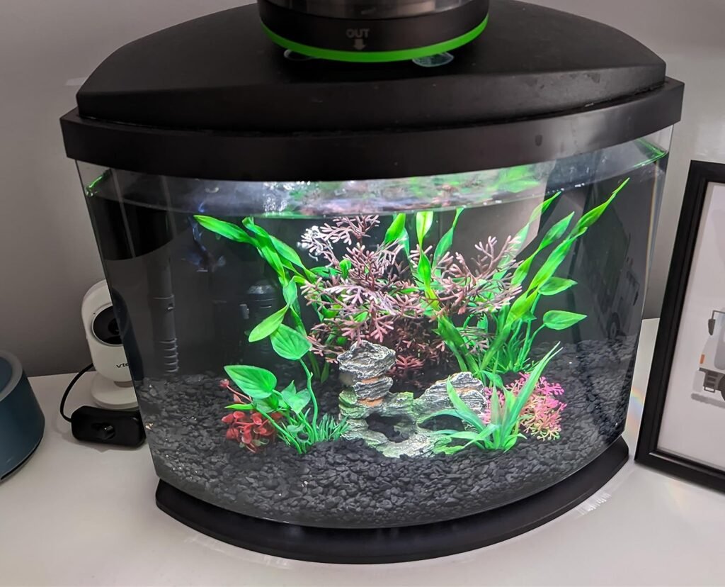 5 Gallon Fish Tank